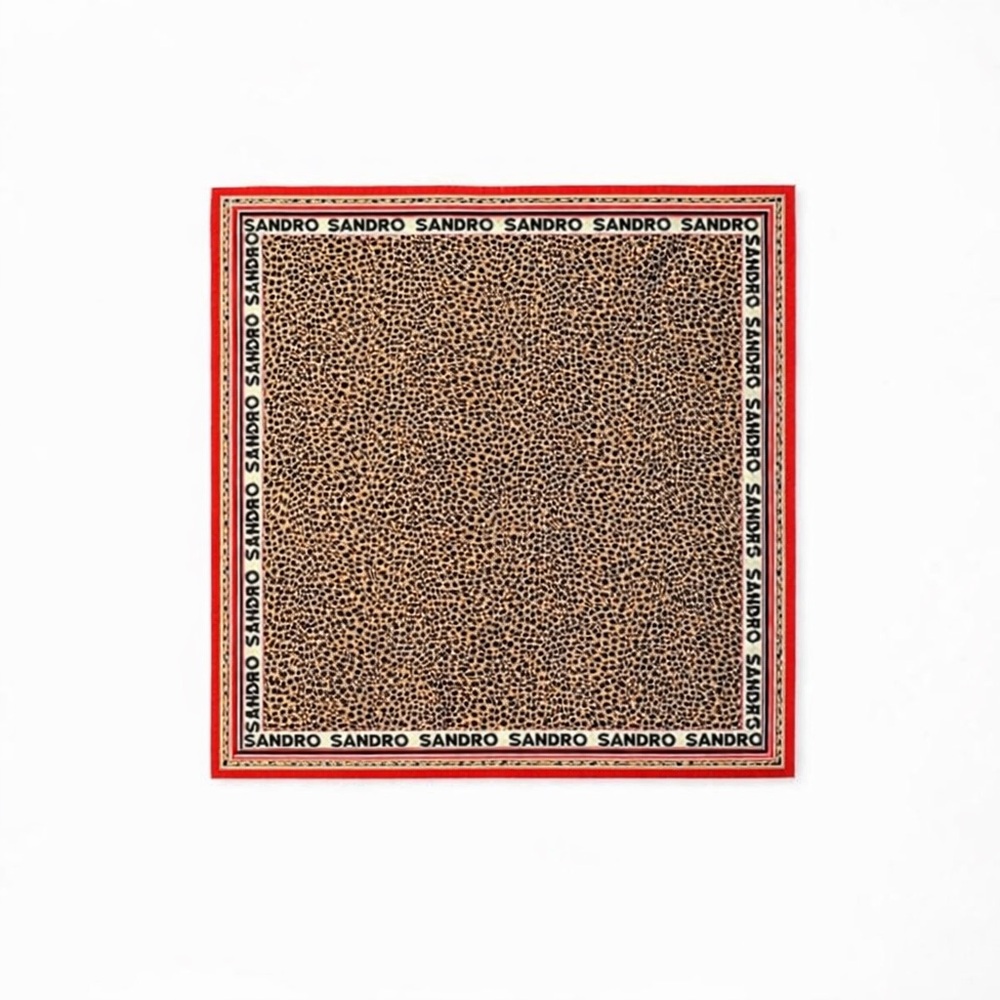 Sandro Scarf